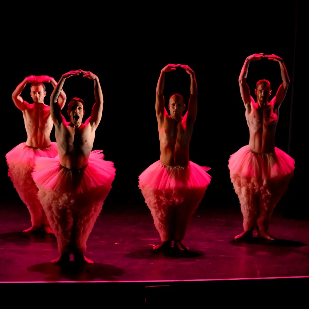 4 spectacles à voir en novembre