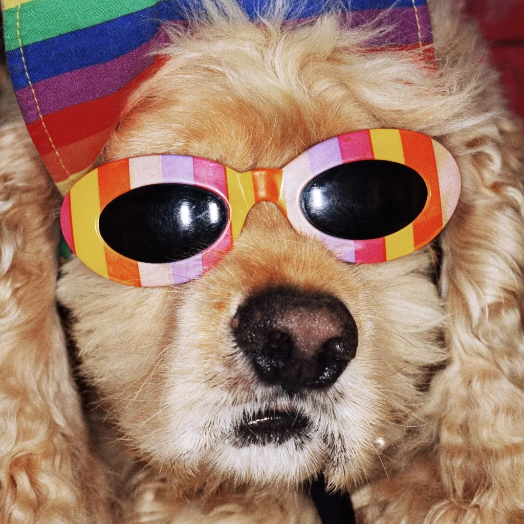 Paris 2026 : 4 expos à ne pas rater avant l’été